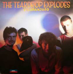 The Teardrop Explodes : Kilimanjaro